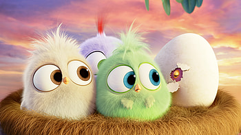 Hatchlings Angry Birds, angry-birds, birds, movies, animated-movies, 2016-movies, the-angry-birds-movie HD wallpaper