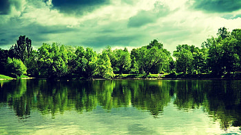 Nature 9 | walljoy. HD wallpaper