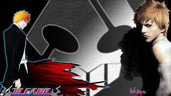 ichigo, bleach HD wallpaper