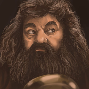 Hagrid, Master of dragons, Artistic portrayal, Rubeus Hagrid's legacy HD phone wallpaper