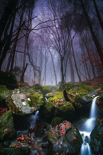 Bulgaria Forest, nature, adorable rocks, waterfall HD phone wallpaper