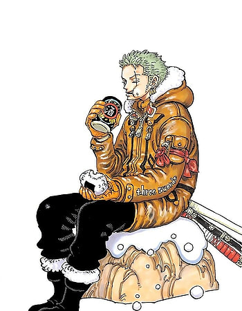 Zoro, Anime, One Piece, Manga HD phone wallpaper