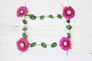 Happy Day!, pink, wood, flower, green, leaf, card, spring HD wallpaper