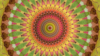 Green Leafed Delight, golden, shapes, colorful, Autumn Leaves, kaleidoscope too1, golden yellow, scarlet, co11age, orange, leafy, brown, yellow, green, leaf, kaleidoscopes HD wallpaper