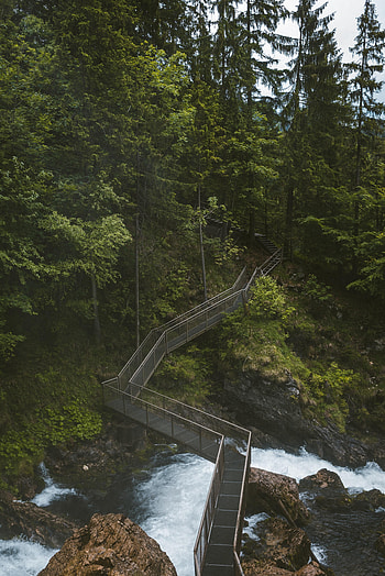 Nature, Rivers, Trees, Stones, Rocks, Bridge HD phone wallpaper