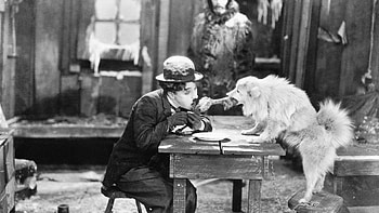 Chaplin, Memorable character, Timeless icon, Comedy legend HD wallpaper