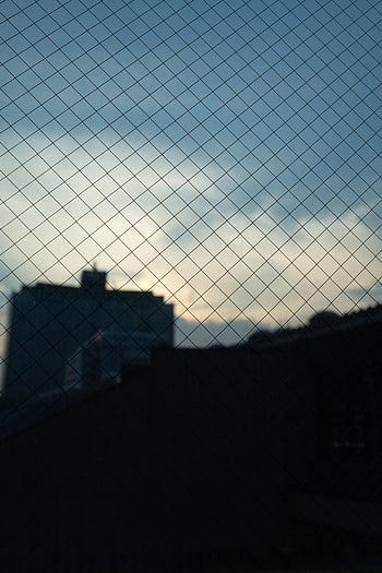 Cities, Twilight, City, Building, Dark, Grid, Dusk HD phone wallpaper