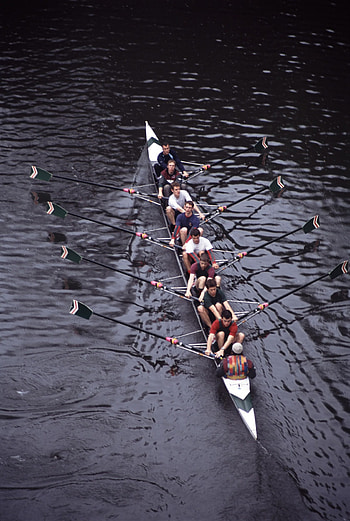 Rowing , backgrounds, Sports HD phone wallpaper