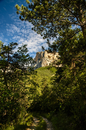 Nature, Rock, Forest, Precipice, Break, Path HD phone wallpaper