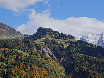 Landscape, Nature, Trees, Mountains, Snow HD wallpaper