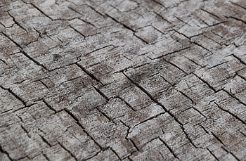 Wood, Wooden, Tree, Texture, Textures, Cracks, Crack, Log HD wallpaper