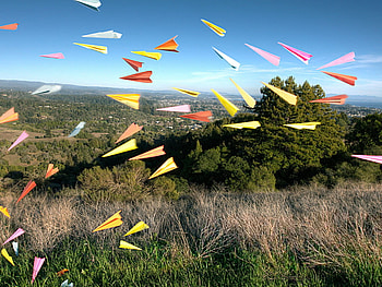 Paper_small_planes, blue, white, forces, grass, paper, small, planes, tree, green, nature, sky, cloud HD wallpaper
