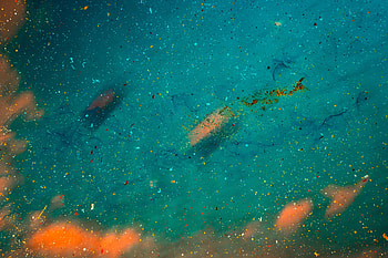 Abstract, Drops, Spray, Blur, Smooth, Paint, Blots HD wallpaper