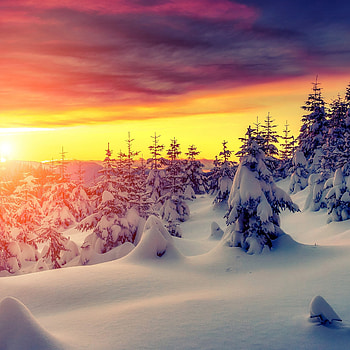 Winter wonderland, winter landscapes, ipad , Serene snowy scenes HD phone wallpaper