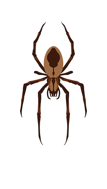 Brown Recluse Spider , spider, illustration, brown, insect HD phone wallpaper