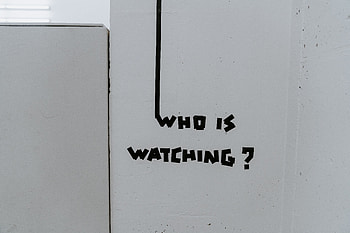 Words, Wall, Inscription, Text, Question, Observation HD wallpaper
