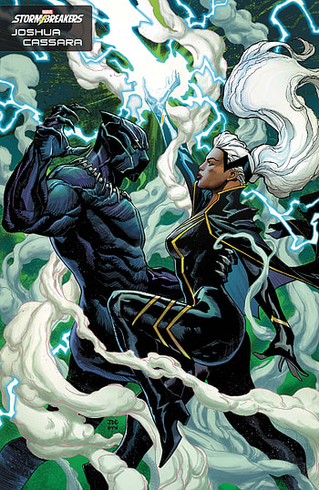 Black Panther Storm, marvel, Plack Panther, avengers, Ororo, comics, X-men HD phone wallpaper