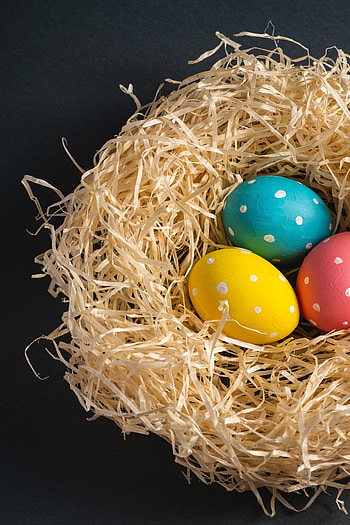 Holidays, Eggs, Easter, Holiday HD phone wallpaper
