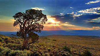 Gunnison, Colorado, landscape, clouds, sun, usa, tree HD wallpaper