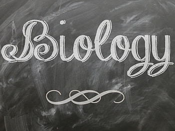 Biology wonders, High-resolution beauty, Captivating , Scientific backgrounds HD wallpaper