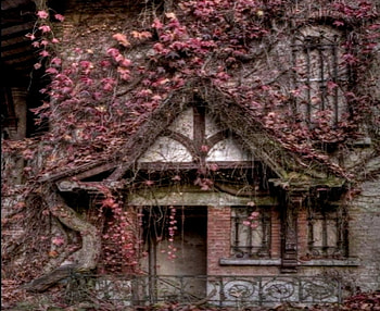 Hansel And Gretel House Lived, Gretel, House, Handsel, Lived HD wallpaper