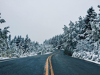 Nature, Trees, Snow, Road, Snow Covered, Snowbound, Dahl, Distance, Sinuous, Winding HD wallpaper