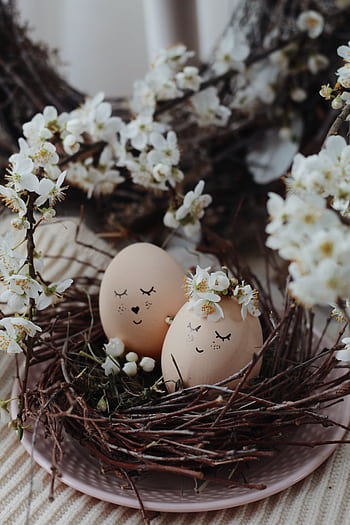 Delightful decorated Easter eggs nestled among spring blossoms in a rustic twig nest. HD phone wallpaper