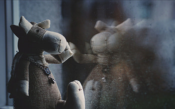 Miscellanea, Miscellaneous, Toy, Glass, Window, Waiting, Expectation HD wallpaper