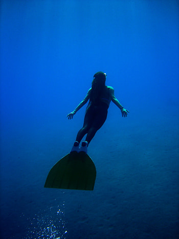 diving, Sports, Apnea Diving, Red Sea Adventure HD phone wallpaper