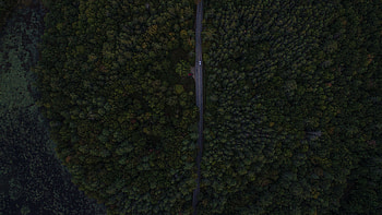 Trees, View From Above, Dark, Road, Forest HD wallpaper
