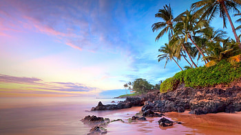 Hawaii , Samantha Tremblay HD wallpaper