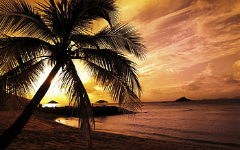 Beach sunset , quality, Romantic serenity, Tropical paradise HD wallpaper