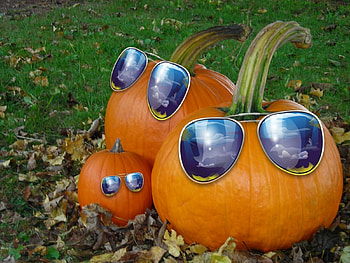 we are very modern, pumpkins, blue, funny, sunglasses HD wallpaper