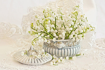 Lily Of The Valley, life, still, flower, lily HD wallpaper