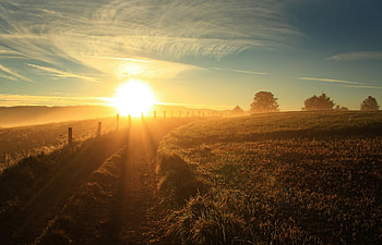 Nature, Sun, Shine, Light, Road, Fence, Country, Hedge, Countryside, Blinding, Blindness HD wallpaper