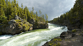 River, trees, nature, amazing HD wallpaper