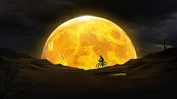 Golden Moon Dream HD wallpaper