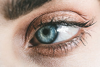 Detailed close-up of a woman's blue eye, showcasing makeup and eyelashes. HD wallpaper