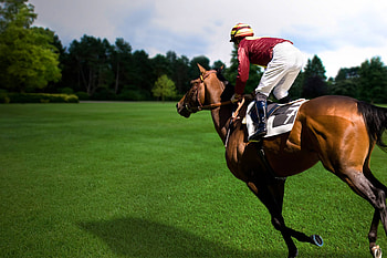 Equestrian sports event, Fast-paced horse race, Equine competition, Exciting action HD wallpaper