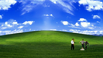 for office. office space windows background for HD wallpaper