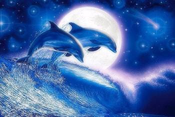 dom in Moonlight, blue, sea, oceans, attractions in dreams, paintings, stars, summer, love four seasons, moonlight, animals, dolphins, nature, sky, moons HD wallpaper