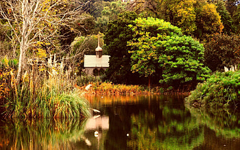 Nature, Trees, Autumn, Pond HD wallpaper