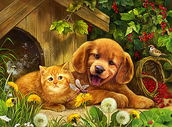 i love you, garden, dogs, cats, love HD wallpaper