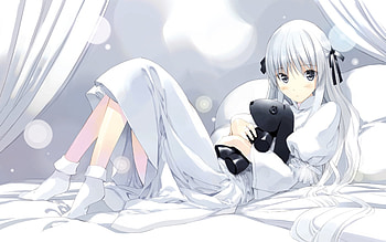 Sora, white, bed, cute, stuffed dog HD wallpaper