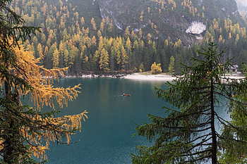 Nature, Water, Trees, Lake, Shore, Bank, Boat HD wallpaper