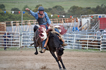 Rodeo, , Backgrounds HD wallpaper