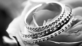 A detailed black and white featuring ornate rings on a delicate rose, symbolizing elegance and romance. HD wallpaper