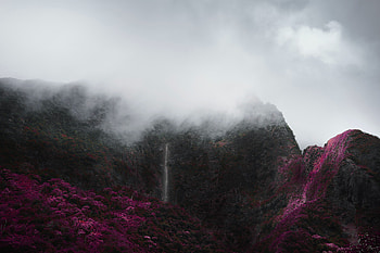 Landscape, Nature, Trees, Mountains, Clouds, Fog, Vegetation HD wallpaper