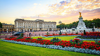 Buckingham Palace , Ultra , Royal residence, British elegance HD wallpaper