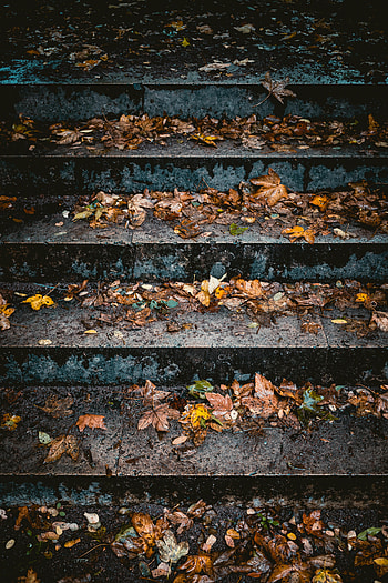 Autumn, Leaves, Miscellanea, Miscellaneous, Stairs, Ladder HD phone wallpaper